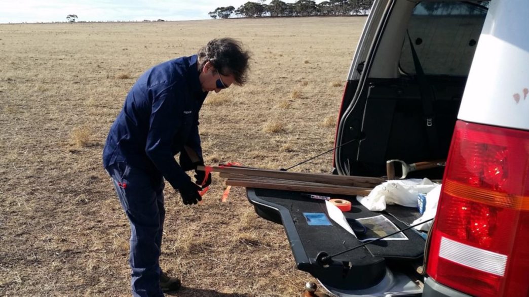 Elevated WA Windmills gold assays spark excitement