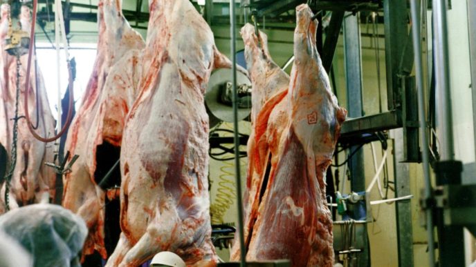 Mandatory CCTV: Peak meat industry body overhauls