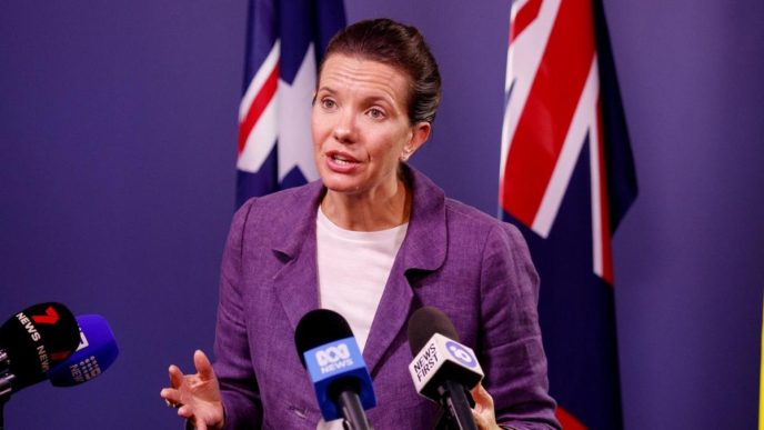 NSW Mental Health Minister Rose Jackson warns more