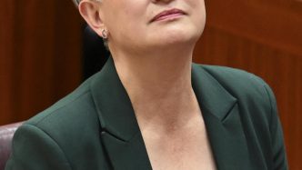 Peter Dutton says Penny Wong should not represent