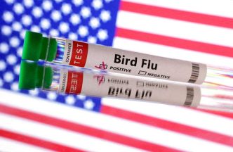 US reports first outbreak of H5N9 bird flu in