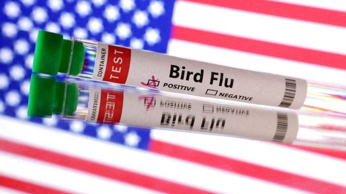 US reports first outbreak of H5N9 bird flu in