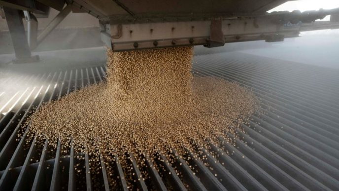 Column-US grain, oilseed exports surge in 2024