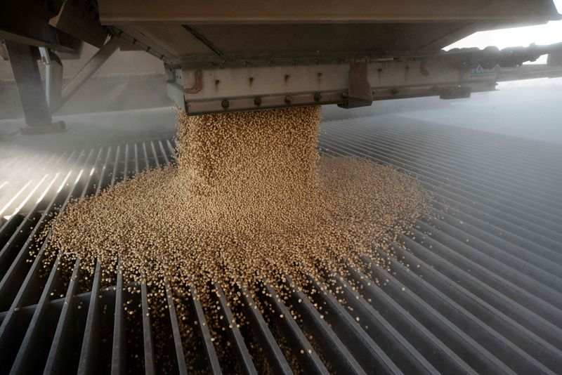 Column-US grain, oilseed exports surge in 2024