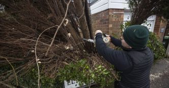 Gardeners risk £5,000 fine for cutting trees in