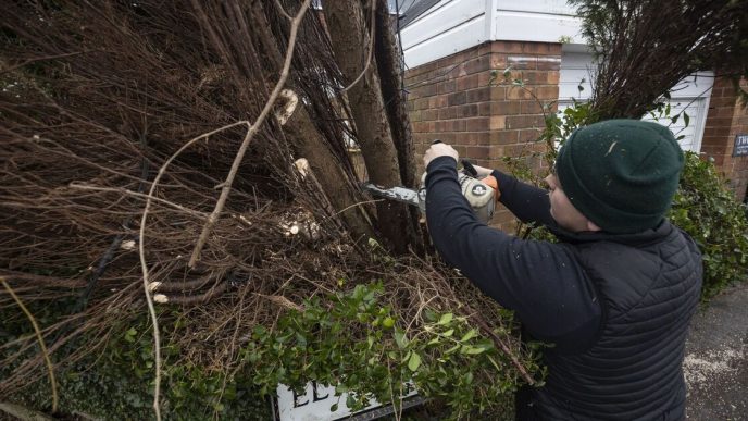 Gardeners risk £5,000 fine for cutting trees in