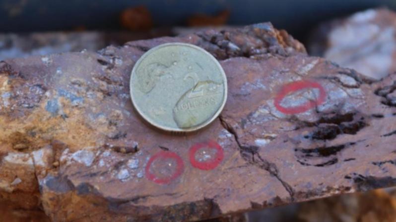 Metallurgical testing recovers 90pc of WA gold for