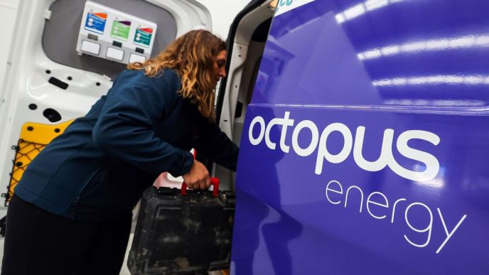 Octopus Energy customers handed £200 Amazon