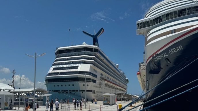 Royal Caribbean crew member makes a case for