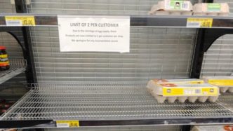 Supermarket egg sections across the nation left