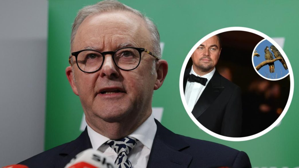 Anthony Albanese hits back after Leonardo DiCaprio