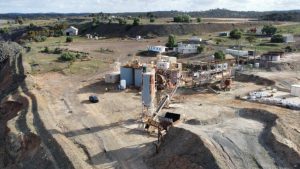 Auric locks in dirt-cheap WA Burbanks gold plant