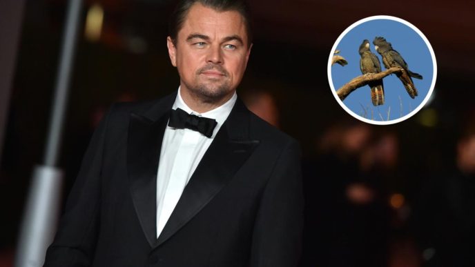 Leonardo DiCaprio: Academy award winner calls out