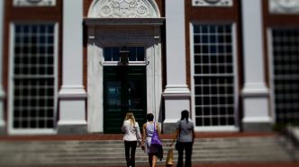 MBA Grads From Top Schools Struggling to Find